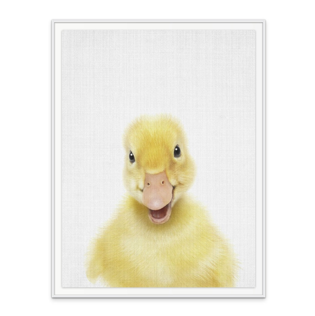 Cuadro "Peekaboo Baby Duck"