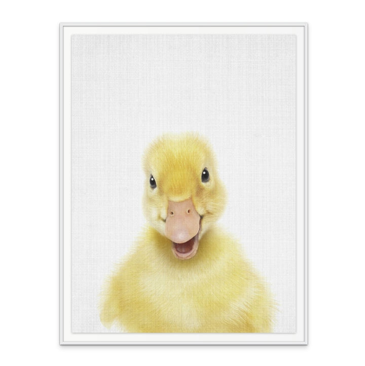 Cuadro "Peekaboo Baby Duck"