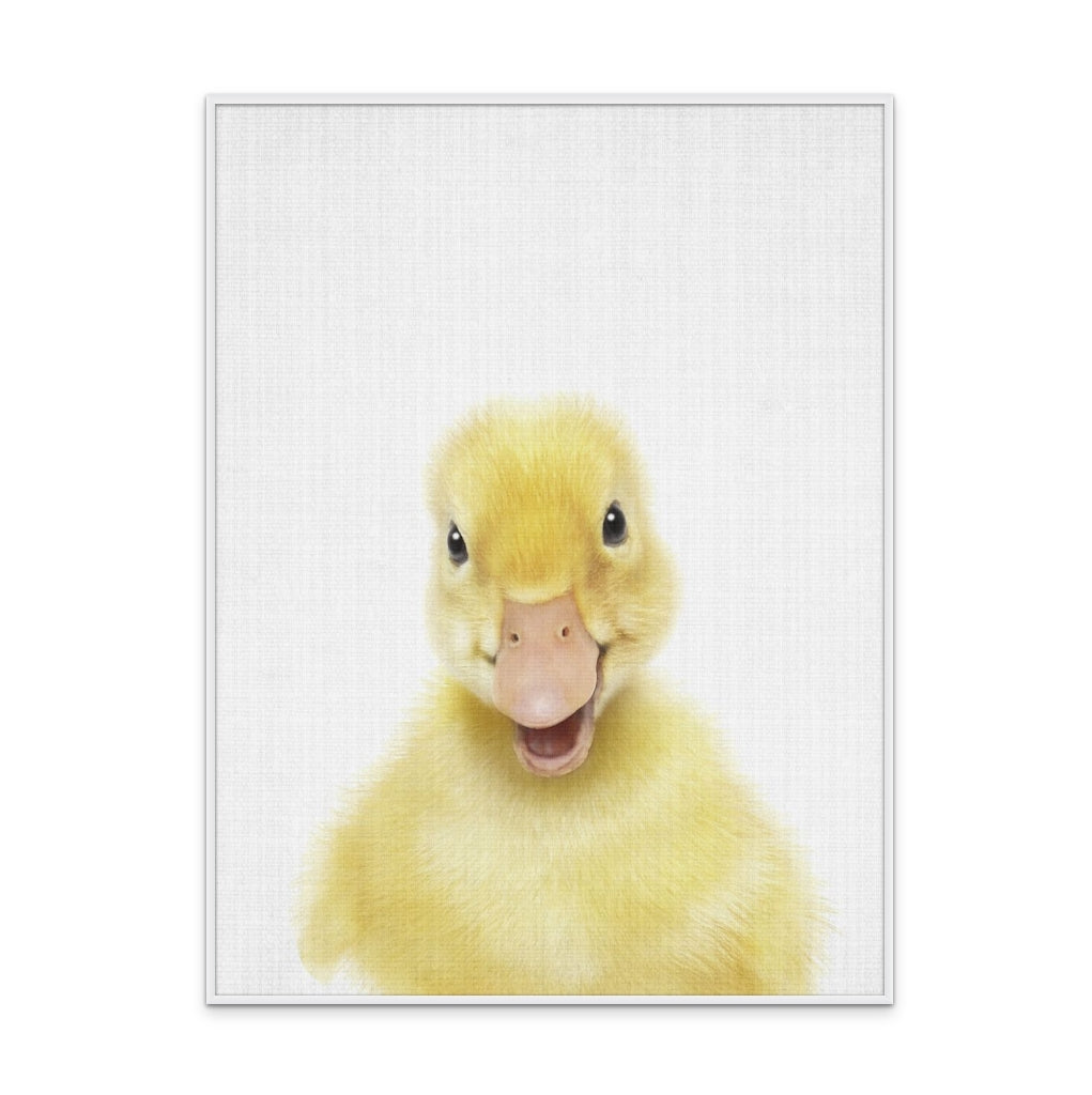Cuadro "Peekaboo Baby Duck"
