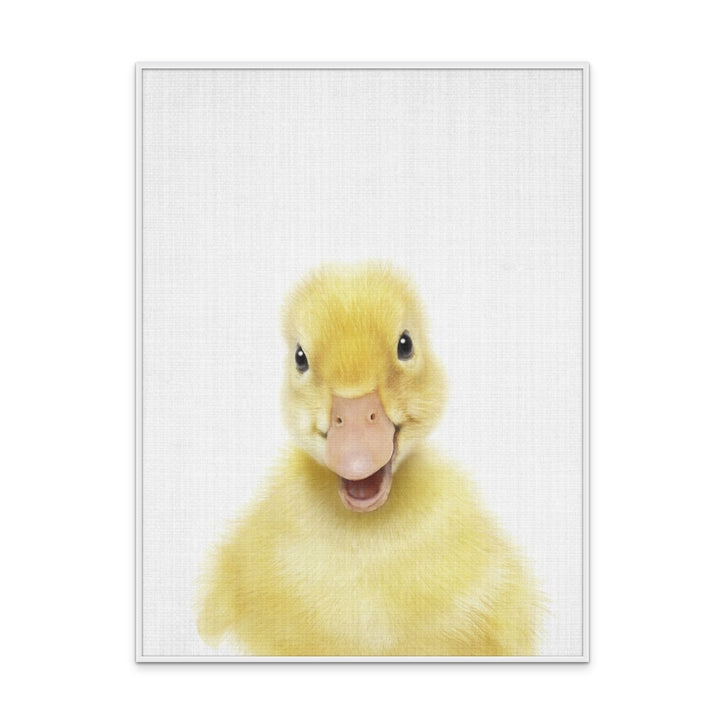 Cuadro "Peekaboo Baby Duck"