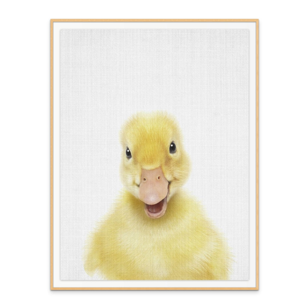 Cuadro "Peekaboo Baby Duck"