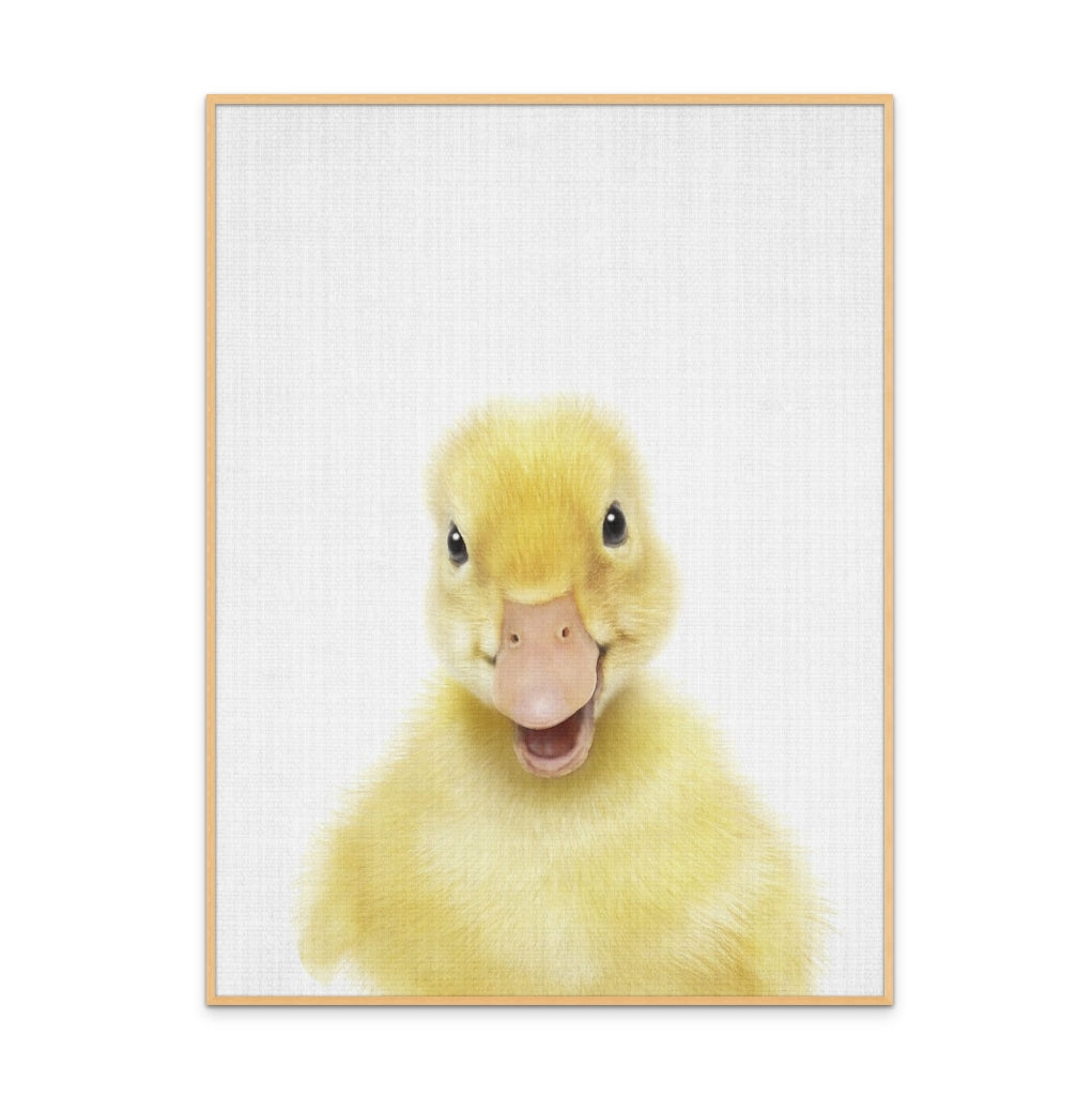 Cuadro "Peekaboo Baby Duck"