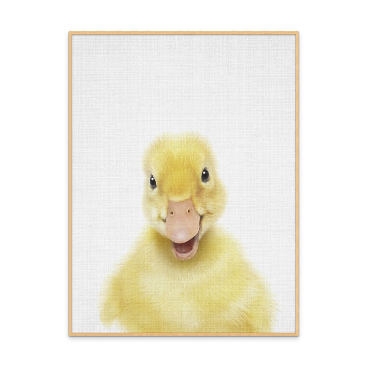 Cuadro "Peekaboo Baby Duck"