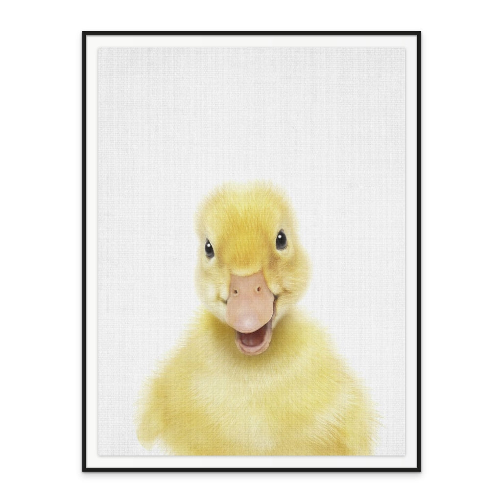 Cuadro "Peekaboo Baby Duck"