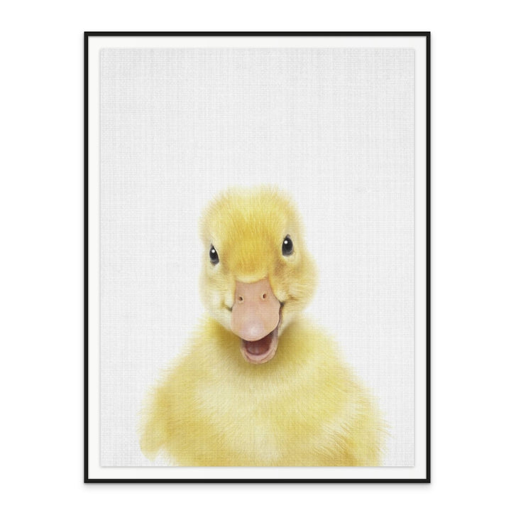 Cuadro "Peekaboo Baby Duck"