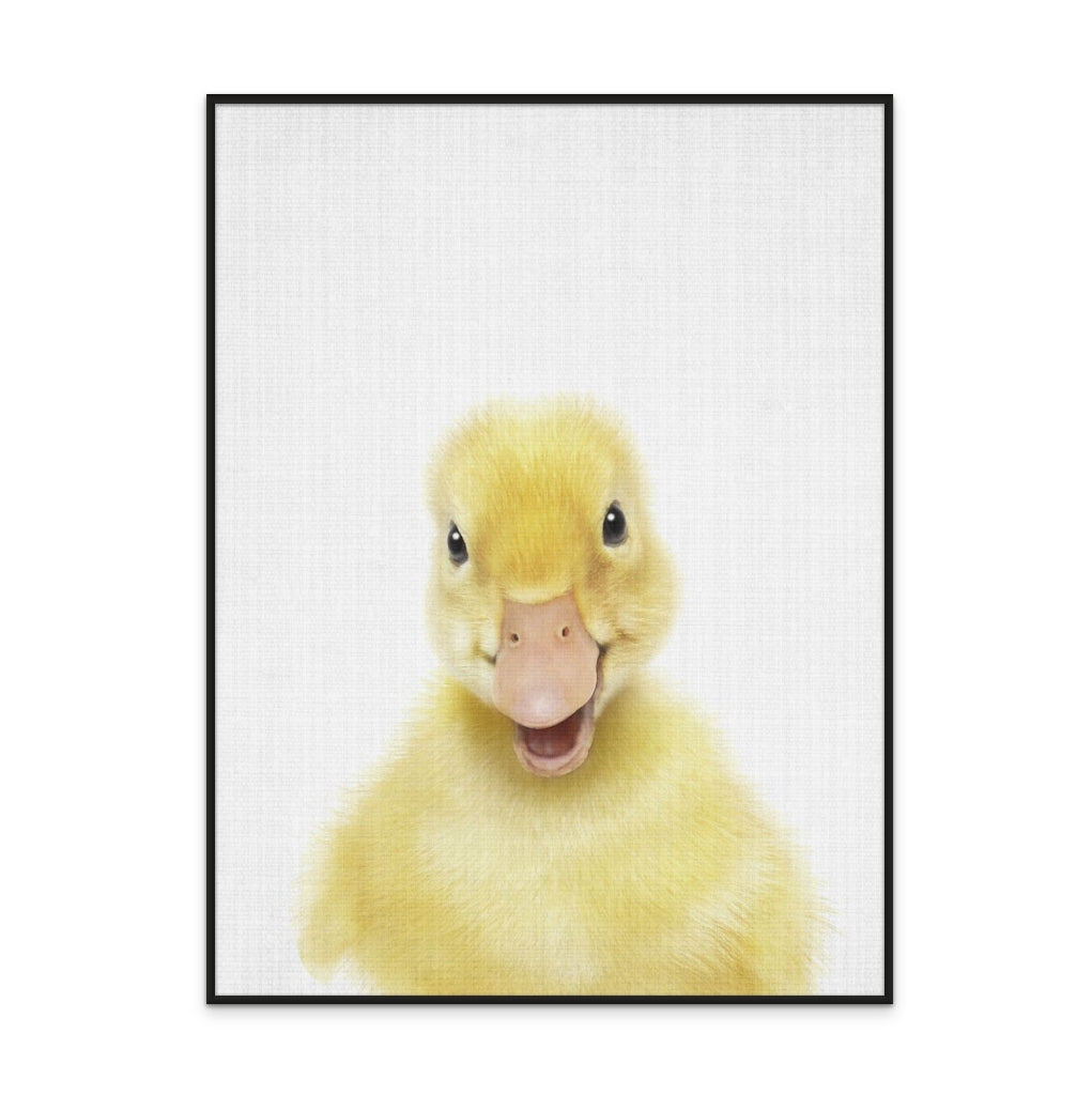 Cuadro "Peekaboo Baby Duck"