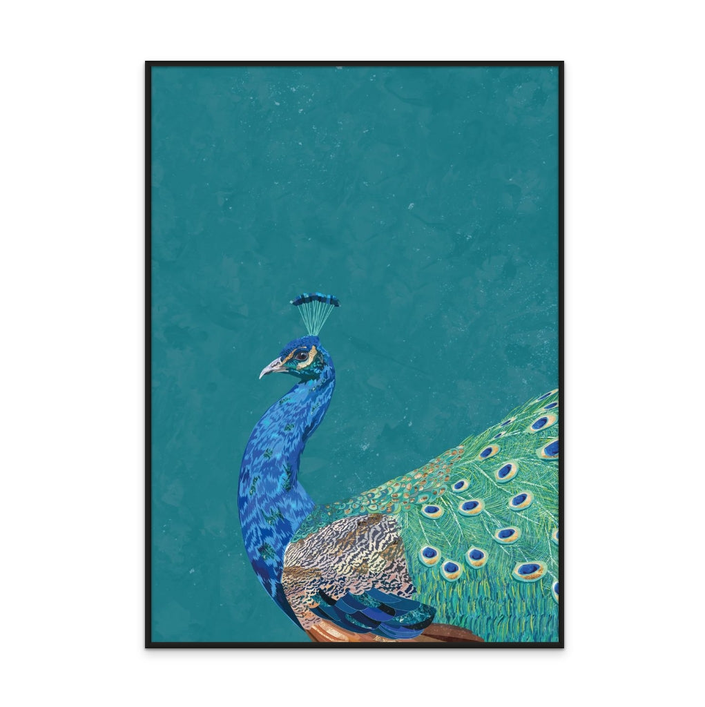 Cuadro "Turquoise peacock"