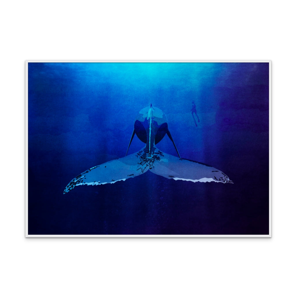 Cuadro "Whale"