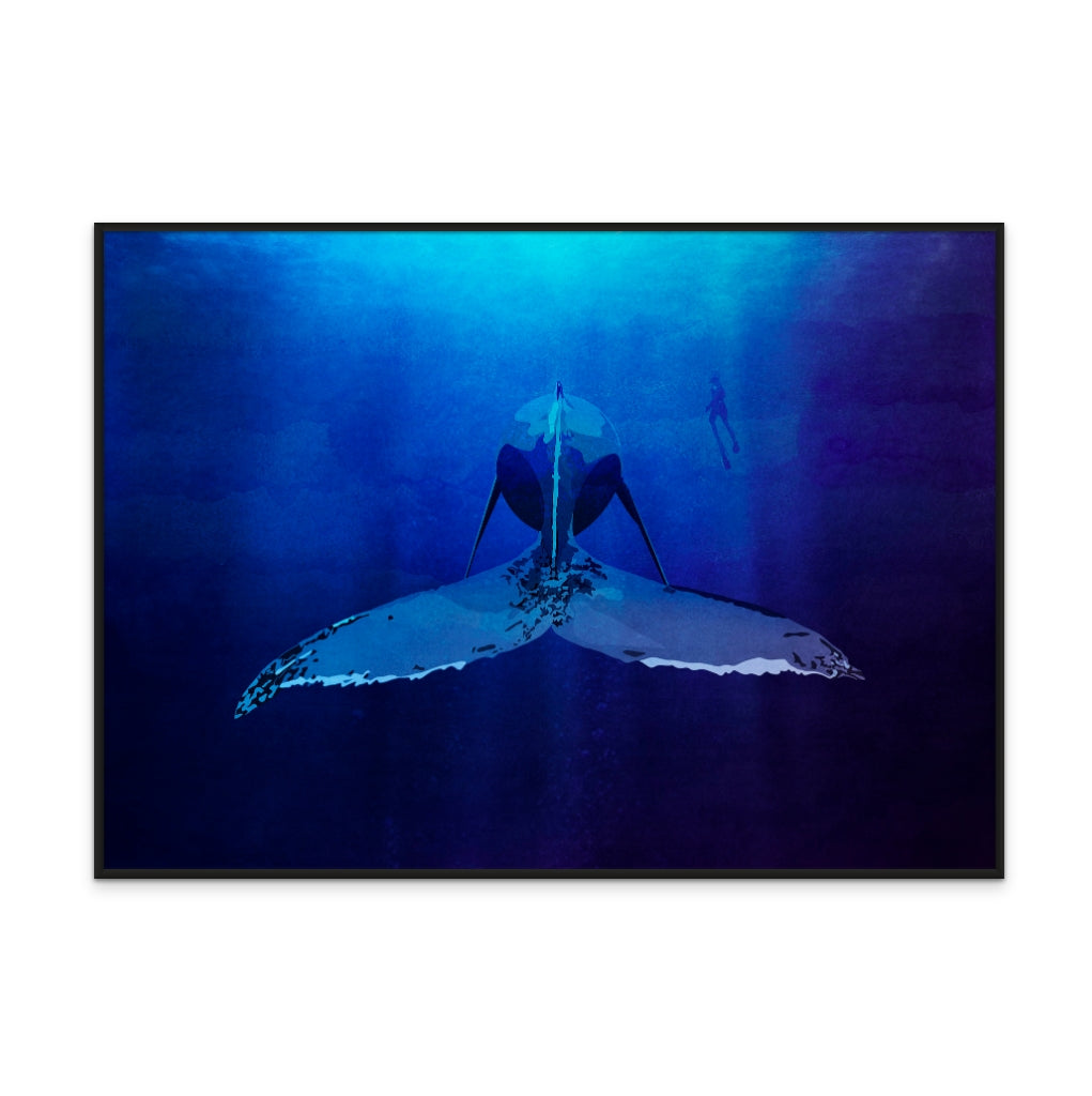 Cuadro "Whale"