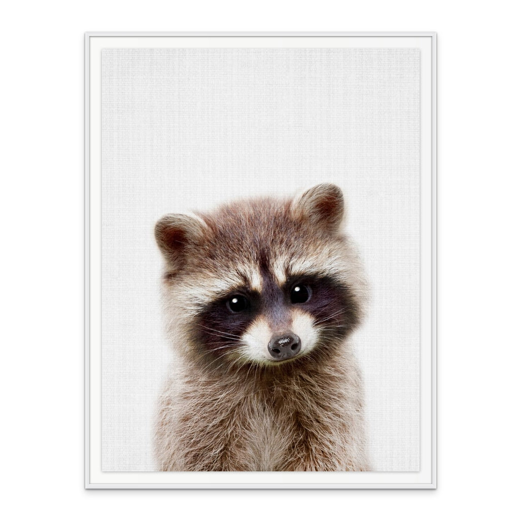 Cuadro "Peekaboo Raccoon"