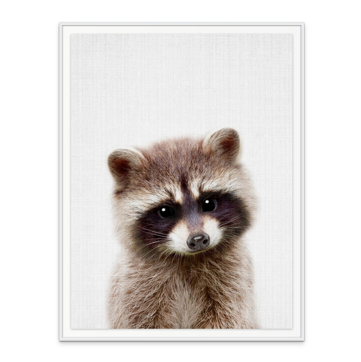 Cuadro "Peekaboo Raccoon"