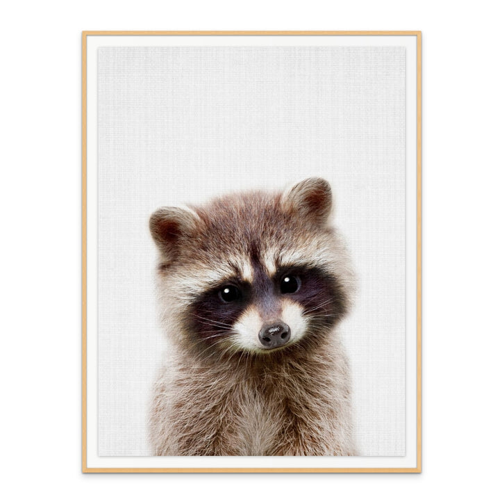 Cuadro "Peekaboo Raccoon"