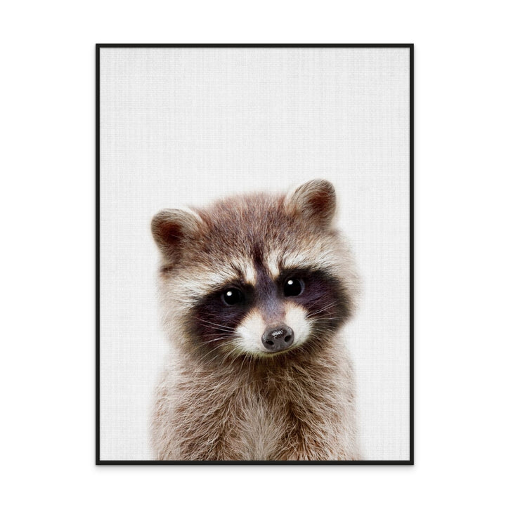 Cuadro "Peekaboo Raccoon"