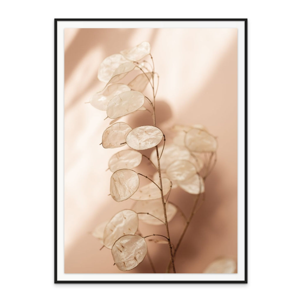 Cuadro "Last Summer 12"