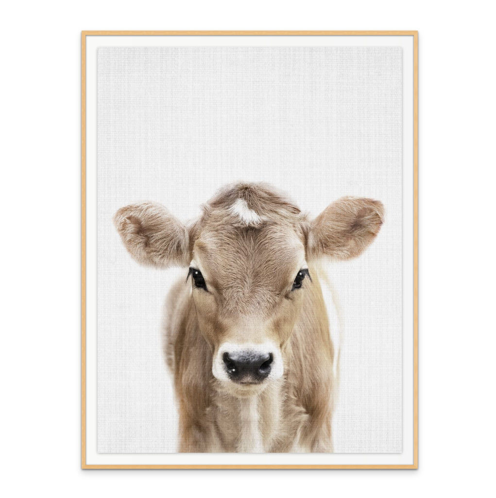 Cuadro "Peekaboo Baby Cow"