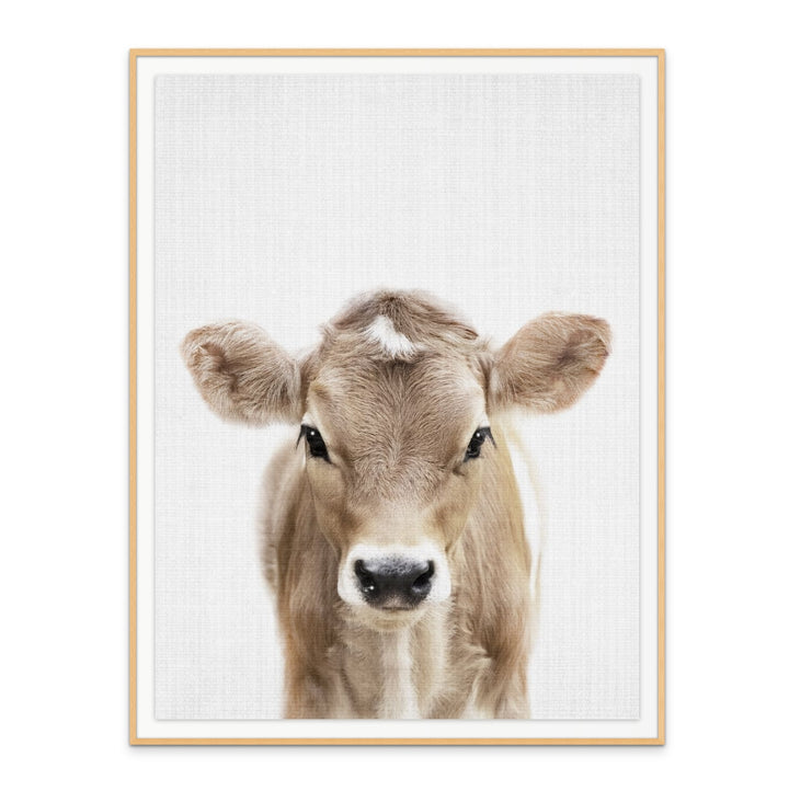 Cuadro "Peekaboo Baby Cow"