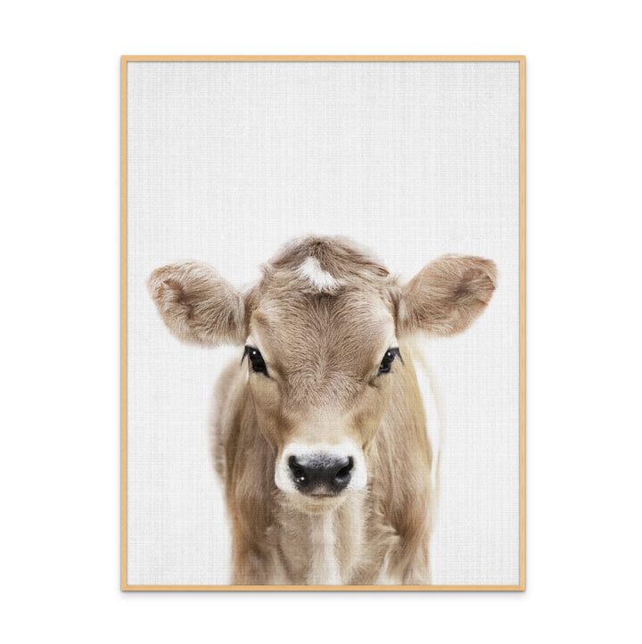 Cuadro "Peekaboo Baby Cow"