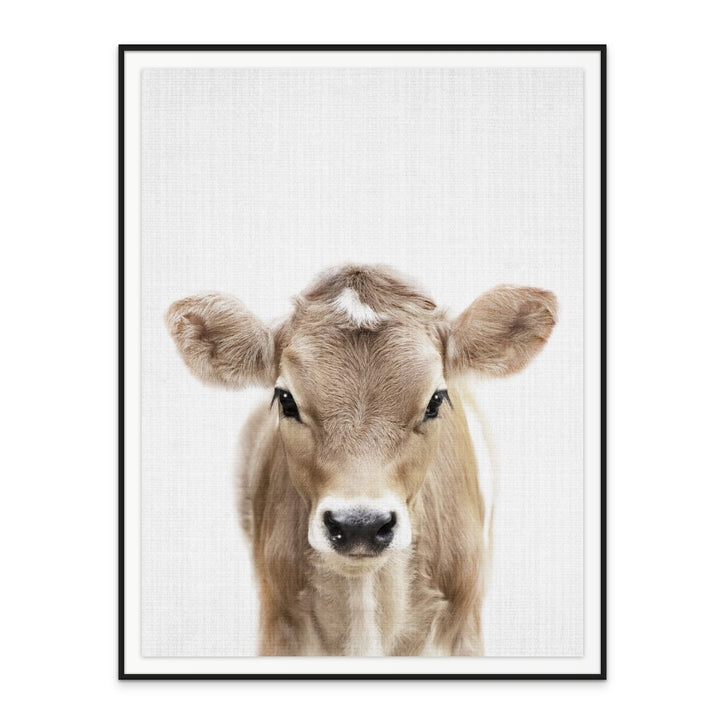 Cuadro "Peekaboo Baby Cow"
