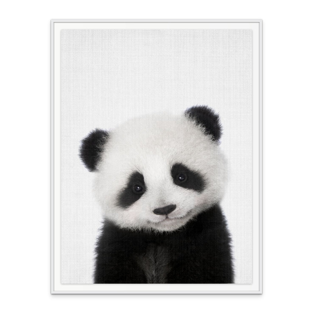 Cuadro "Peekaboo Baby Panda"