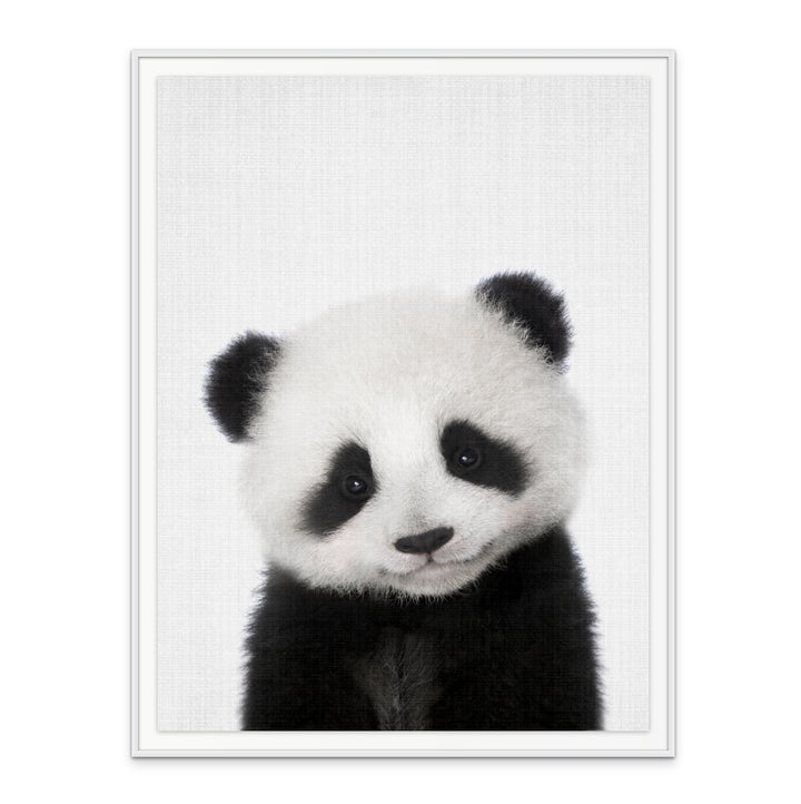 Cuadro "Peekaboo Baby Panda"