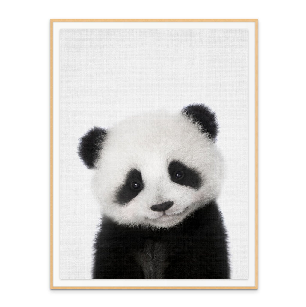 Cuadro "Peekaboo Baby Panda"