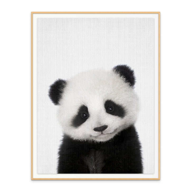Cuadro "Peekaboo Baby Panda"