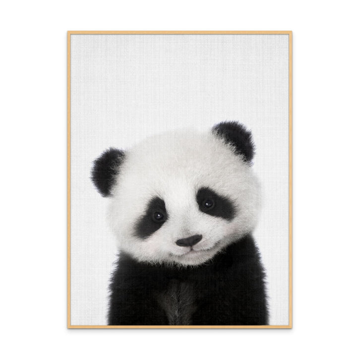 Cuadro "Peekaboo Baby Panda"