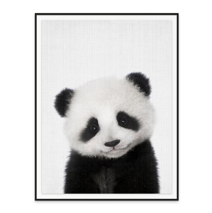 Cuadro "Peekaboo Baby Panda"