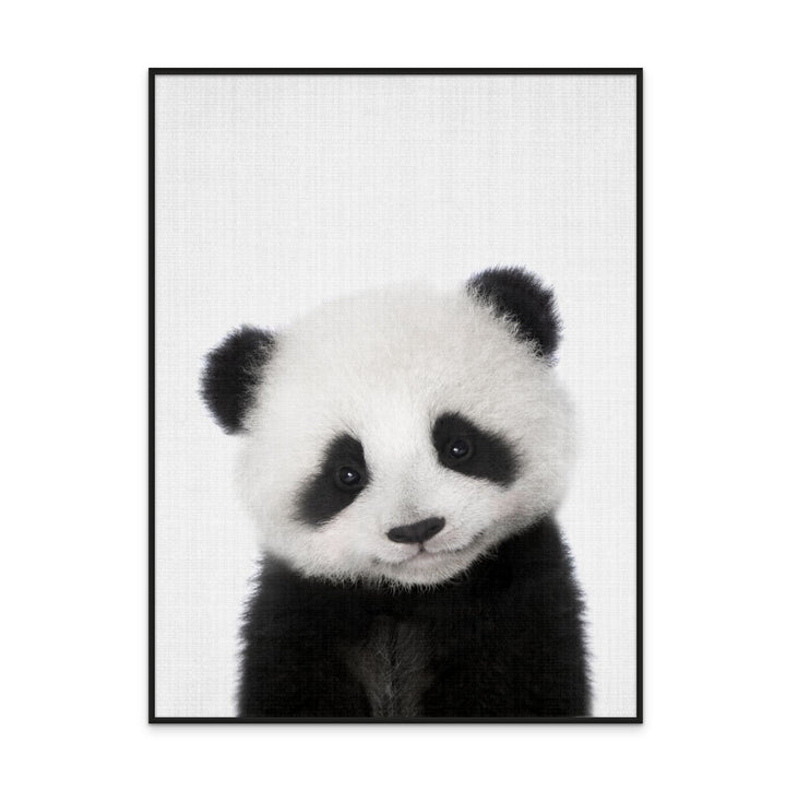 Cuadro "Peekaboo Baby Panda"