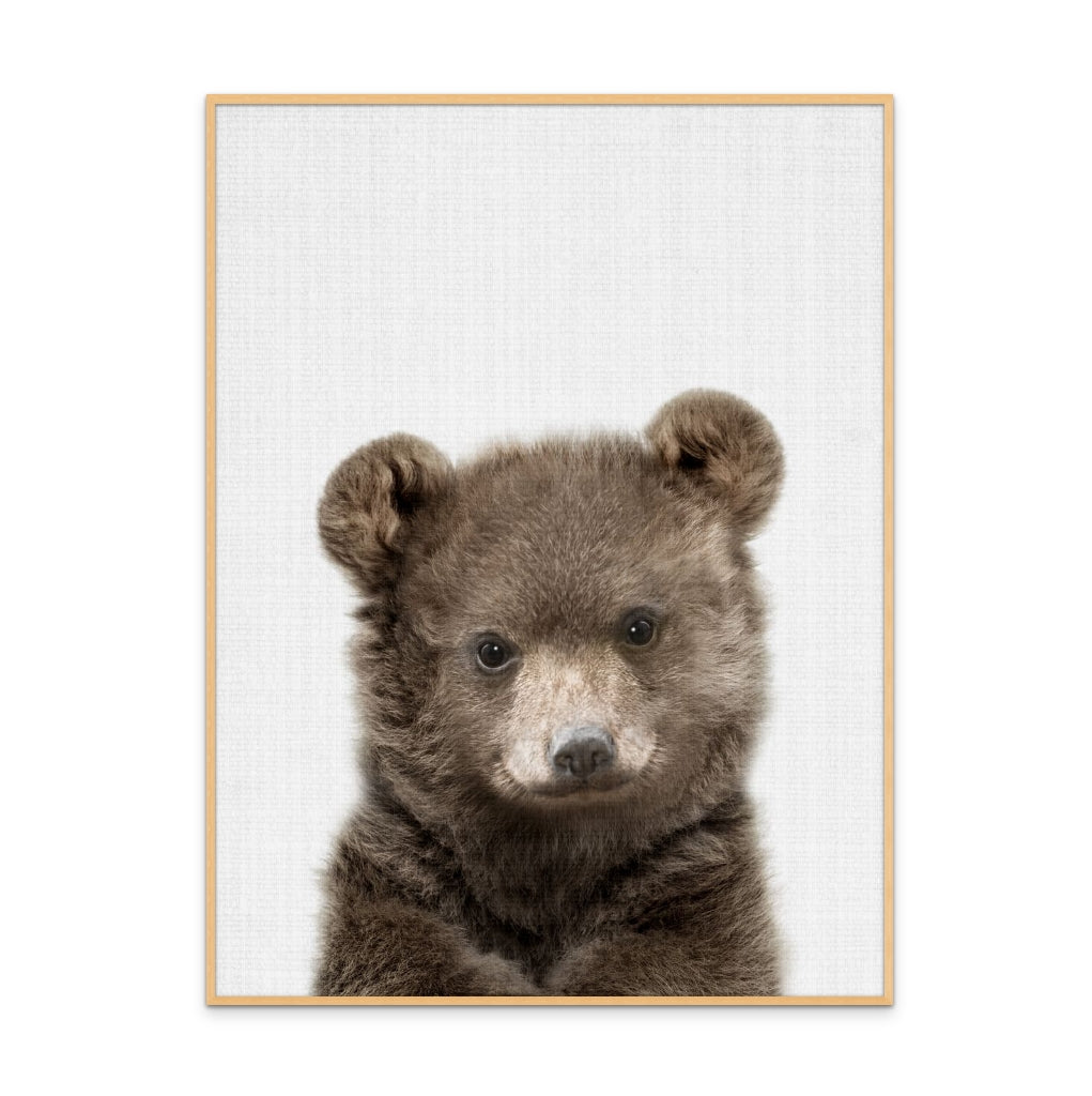 Cuadro "Peekaboo Baby Bear"