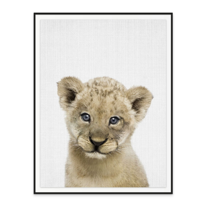Cuadro "Peekaboo Baby Lion"