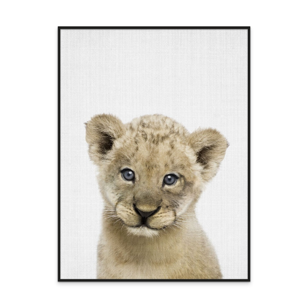 Cuadro "Peekaboo Baby Lion"