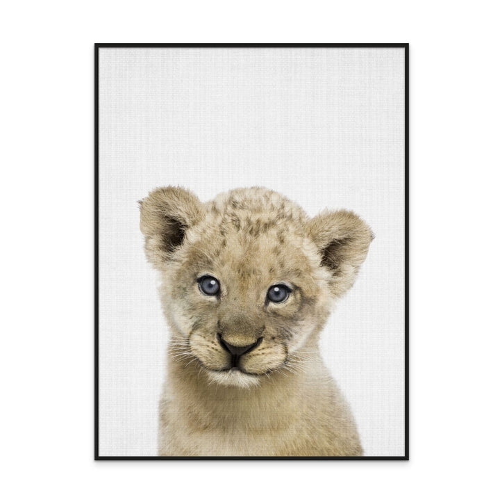 Cuadro "Peekaboo Baby Lion"