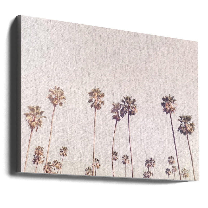 Cuadro "Sunny Cali Palm Trees"