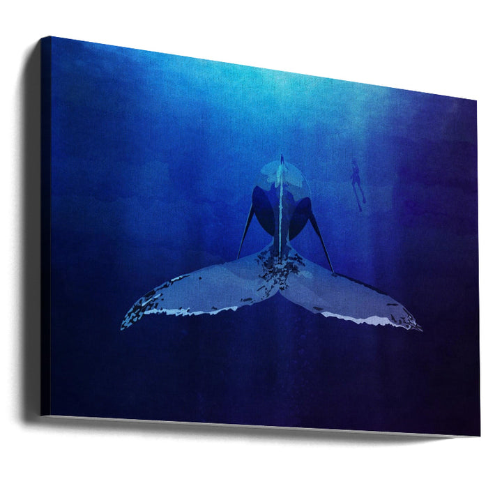 Cuadro "Whale"