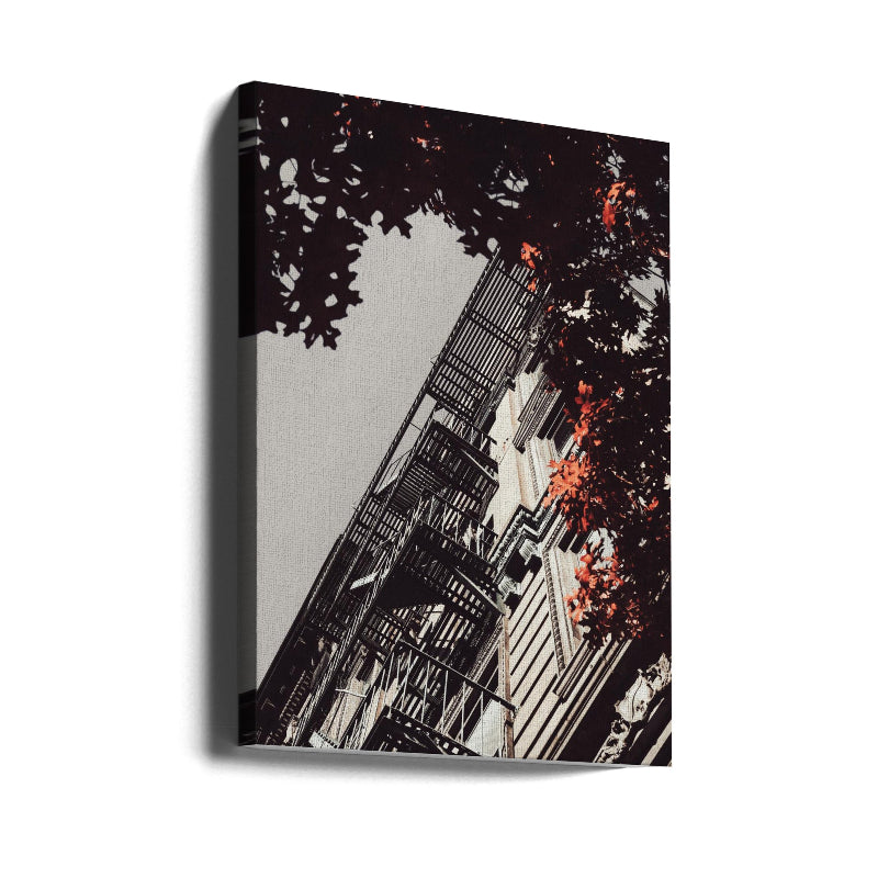 Cuadro "New York City Autumn"