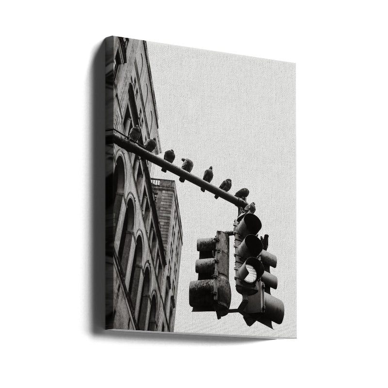 Cuadro "New York City Doves"