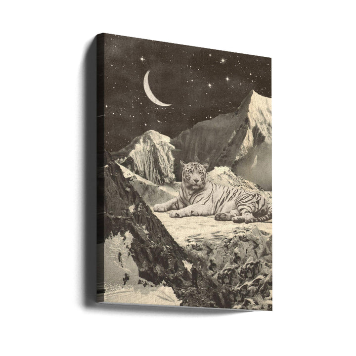 Cuadro "Giant White Tiger"