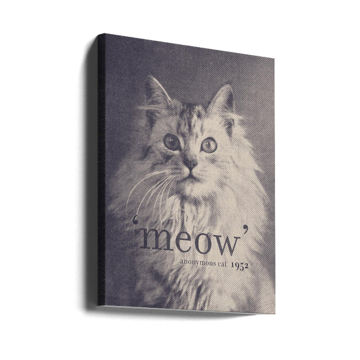 Cuadro "Famous Quote Cat"