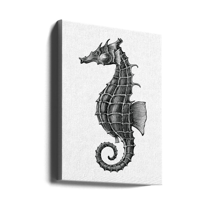 Cuadro "Seahorse"
