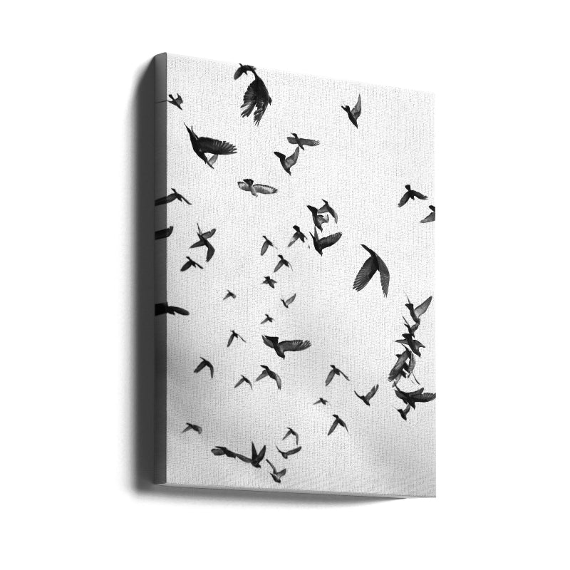 Cuadro "Flight a Freedom No 5"