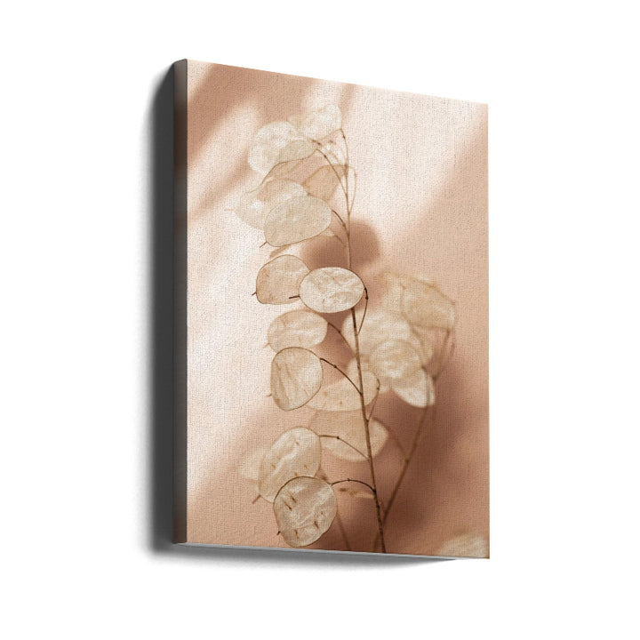 Cuadro "Last Summer 12"