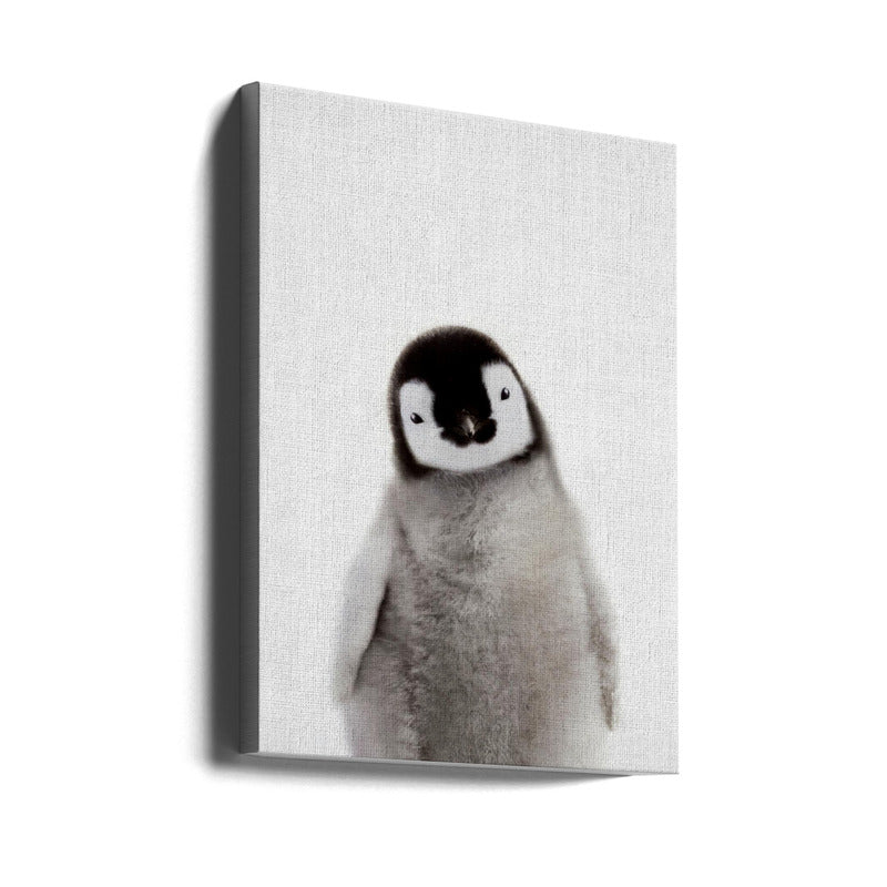 Cuadro "Peekaboo Baby Penguin"