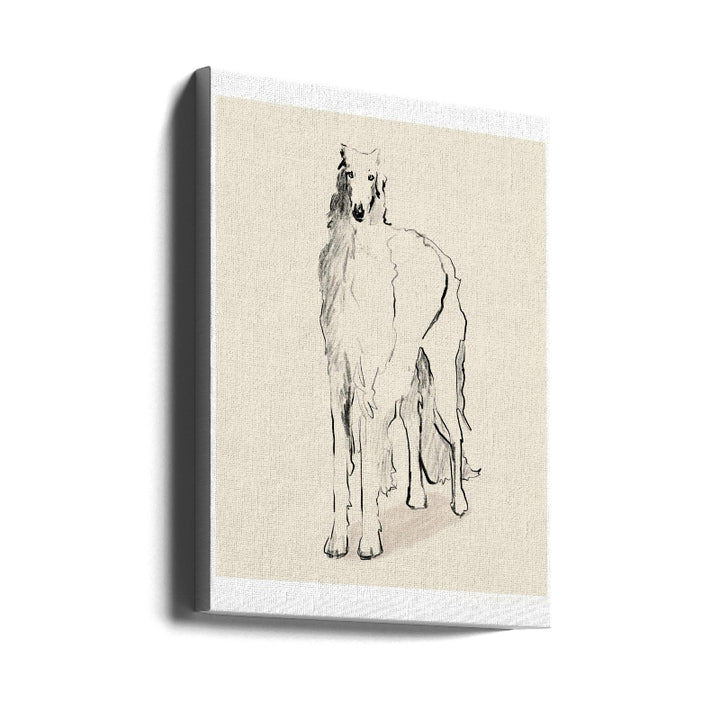 Cuadro "Pandc Borzoi russian"