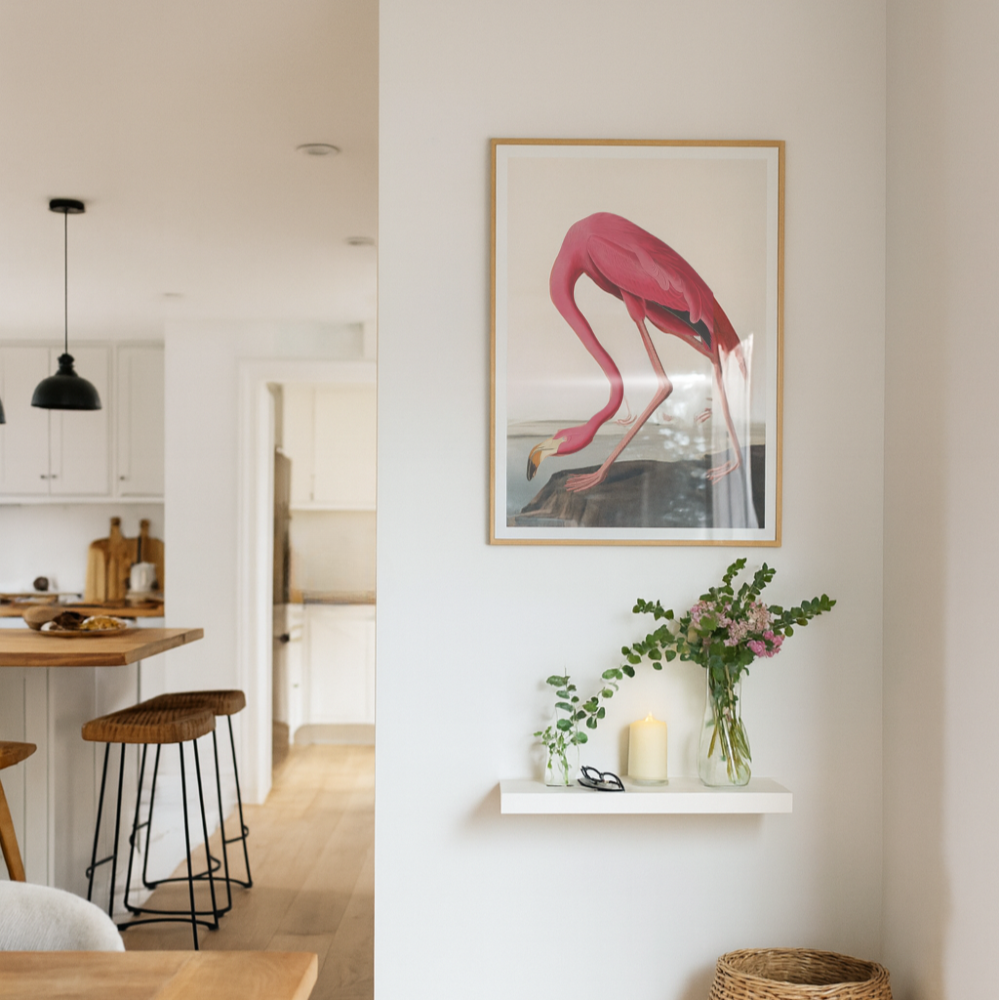 Cuadro "Pink Flamingo From Birds of America (1827)"