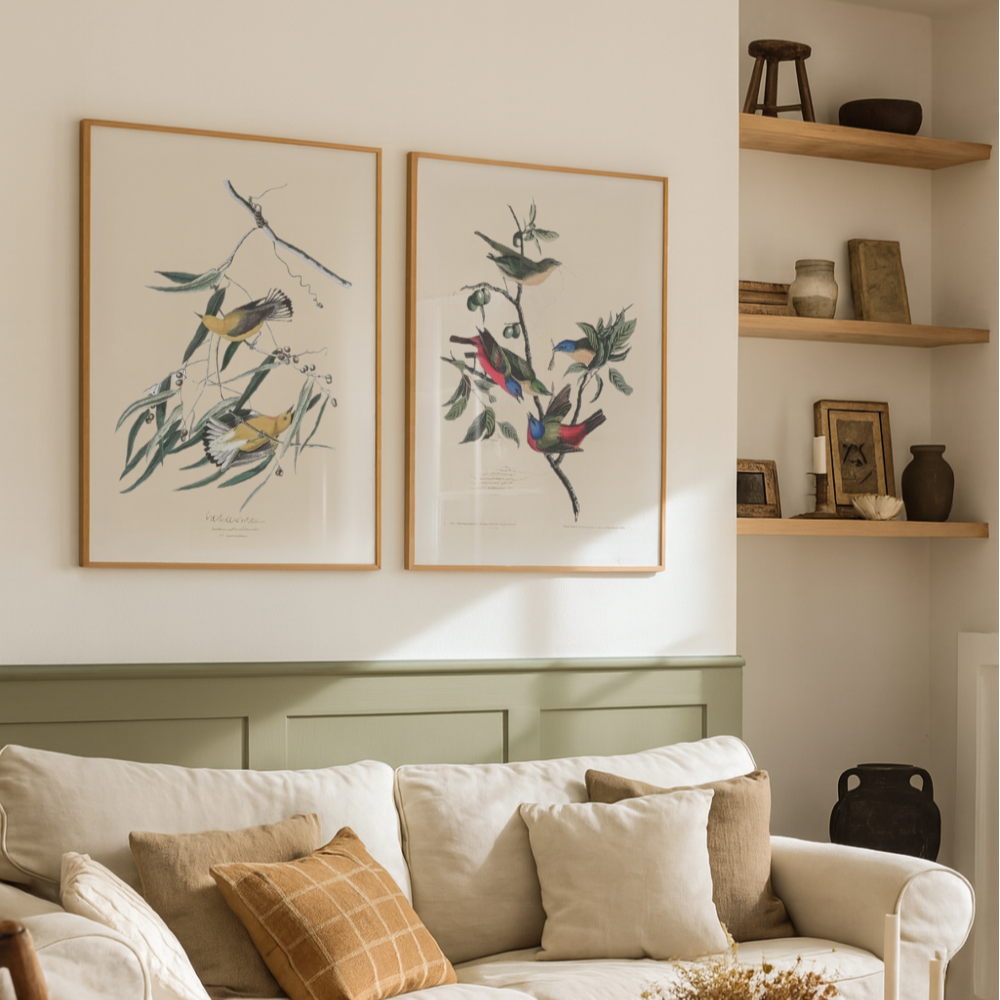 Cuadro "Painted Finch From Birds of America (1827)"