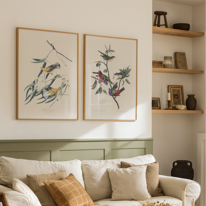 Cuadro "Prothonotary Warbler From Birds of America (1827)"