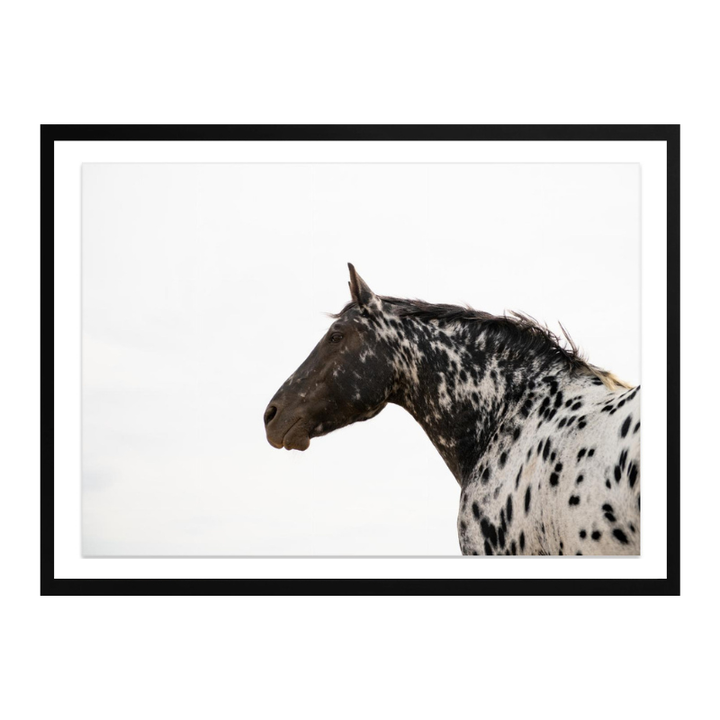 Cuadro "Andromeda 4"