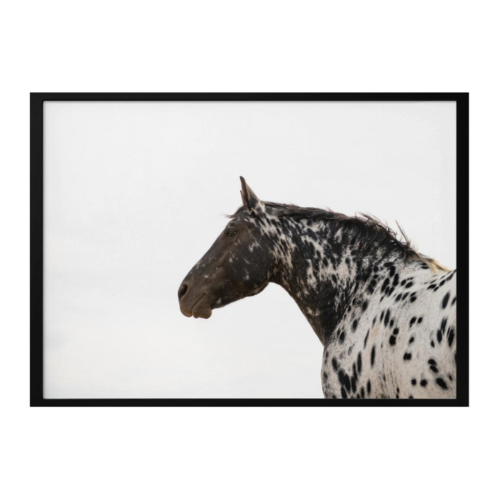 Cuadro "Andromeda 4"