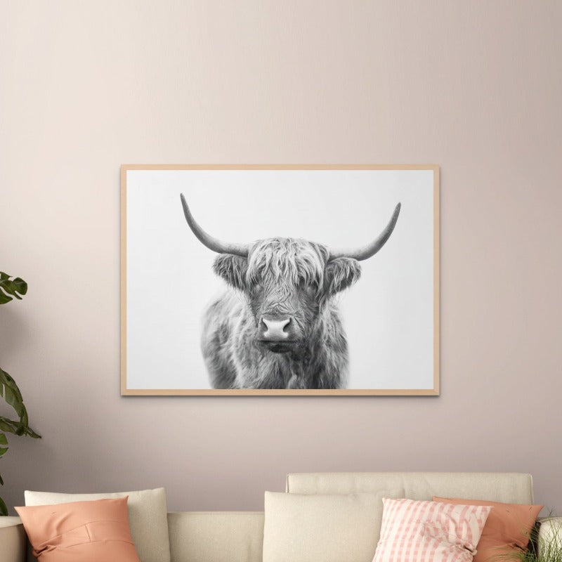 Highland Bull Art Print